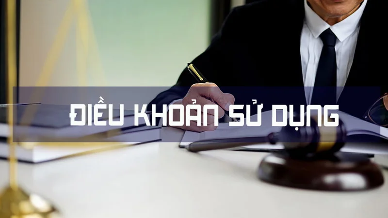 dieu khoan su dung 2 Lợi ích của các điều khoản sử dụng tại Vinbet